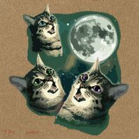 Funny Cat Three Cat Moon 3 Wolfs Cute Kitten Graphic Cotton Canvas Backpack