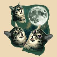 Funny Cat Three Cat Moon 3 Wolfs Cute Kitten Graphic Zip Tote Bag