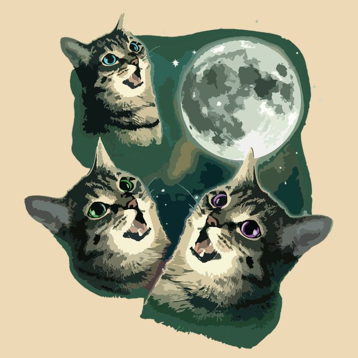Funny Cat Three Cat Moon 3 Wolfs Cute Kitten Graphic Zip Tote Bag