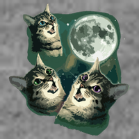 Funny Cat Three Cat Moon 3 Wolfs Cute Kitten Graphic Tall Sweatshirt
