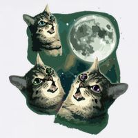 Funny Cat Three Cat Moon 3 Wolfs Cute Kitten Graphic Flat Bill Trucker Hat