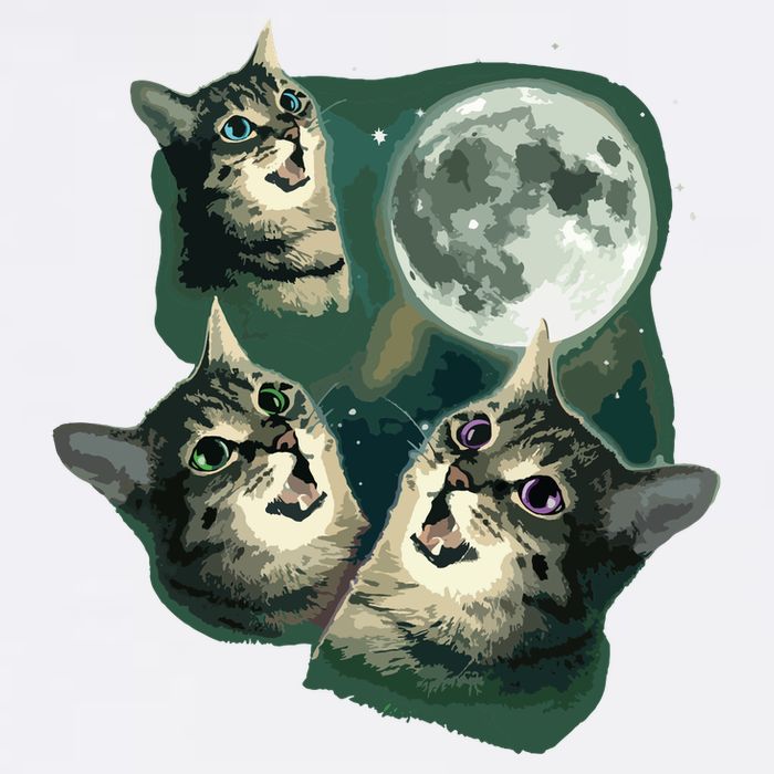 Funny Cat Three Cat Moon 3 Wolfs Cute Kitten Graphic Flat Bill Trucker Hat