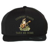 Funny Country Toads Take Me Home Vintage Graphic Wool Snapback Cap