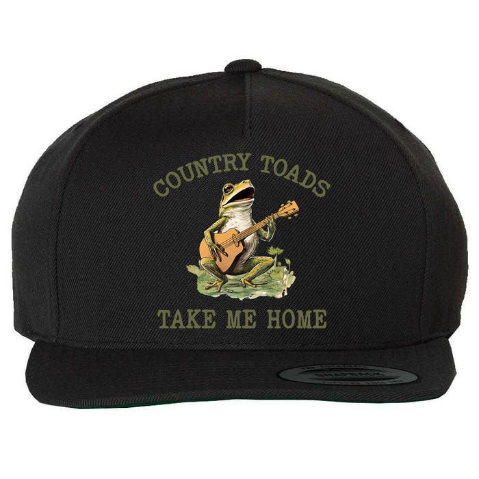 Funny Country Toads Take Me Home Vintage Graphic Wool Snapback Cap