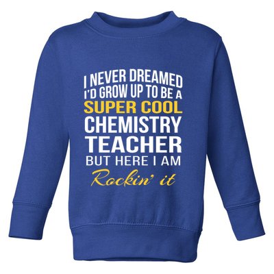 Funny Chemistry Teacher Gift Funny Gift Great Gift Toddler Sweatshirt