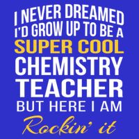 Funny Chemistry Teacher Gift Funny Gift Great Gift Kids Hoodie