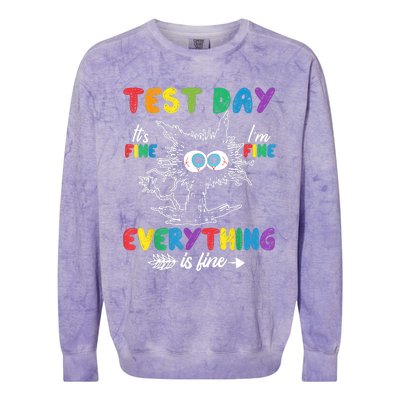 Funny Cat Test Day It's Fine I'm Fine Everything Is Fine Colorblast Crewneck Sweatshirt