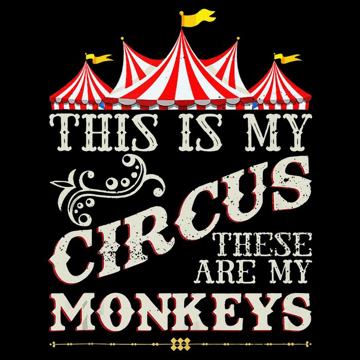 Funny Carnival This Is My Circus These Are My Monkeys Circus Toddler T-Shirt