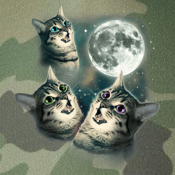 Funny Cat Three Cat Moon 3 Wolfs Cute Kitten Graphic Legacy Tie Dye Trucker Hat