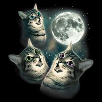 Funny Cat Three Cat Moon 3 Wolfs Cute Kitten Graphic 16 in Basic Backpack