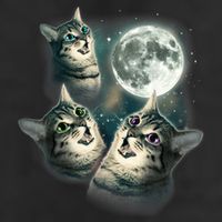 Funny Cat Three Cat Moon 3 Wolfs Cute Kitten Graphic Large Microfiber Waffle Golf Towel