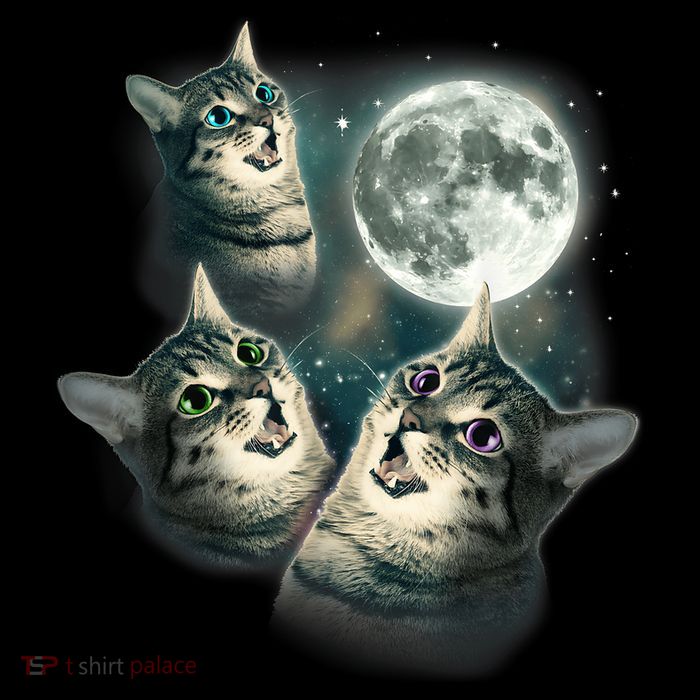 Funny Cat Three Cat Moon 3 Wolfs Cute Kitten Graphic Toddler T-Shirt