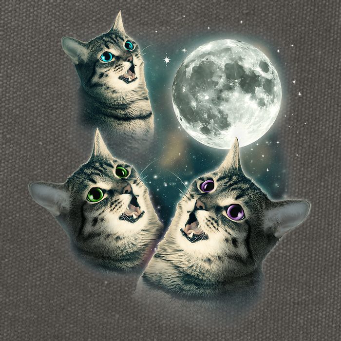 Funny Cat Three Cat Moon 3 Wolfs Cute Kitten Graphic Cotton Canvas Backpack