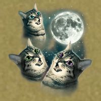 Funny Cat Three Cat Moon 3 Wolfs Cute Kitten Graphic Garment-Dyed Women's Muscle Tee