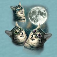 Funny Cat Three Cat Moon 3 Wolfs Cute Kitten Graphic Sueded Cloud Jersey T-Shirt