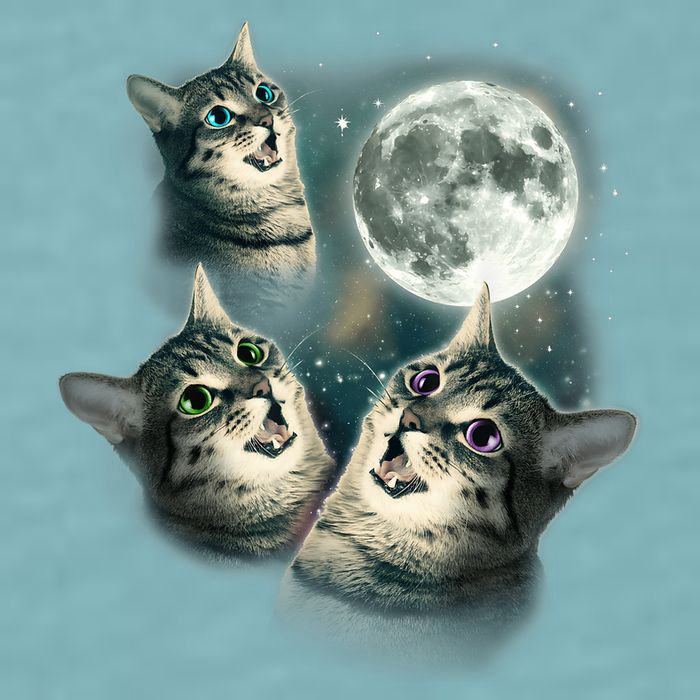Funny Cat Three Cat Moon 3 Wolfs Cute Kitten Graphic Sueded Cloud Jersey T-Shirt