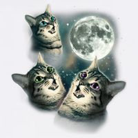Funny Cat Three Cat Moon 3 Wolfs Cute Kitten Graphic Garment-Dyed Sweatshirt