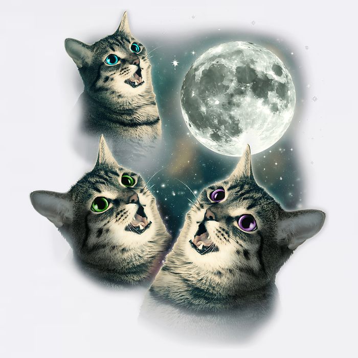 Funny Cat Three Cat Moon 3 Wolfs Cute Kitten Graphic Garment-Dyed Sweatshirt