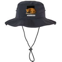 Funny Cat Tech I Work On Computers Lazy Cat Laptop Humor Legacy Cool Fit Booney Bucket Hat