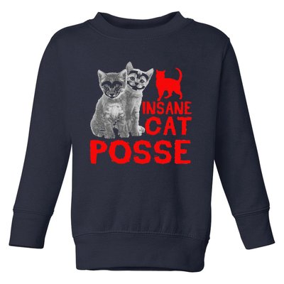 Funny Cat T Insane Cat Posse Gift Tee For Women Toddler Sweatshirt