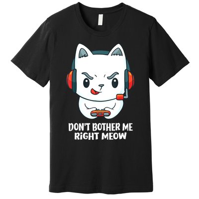 Funny Cat Video Gamer Dont Bother Me Right Meow Gits Premium T-Shirt