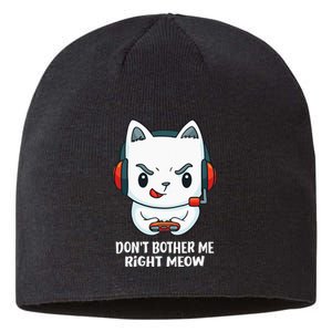 Funny Cat Video Gamer Dont Bother Me Right Meow Gits Sustainable Beanie