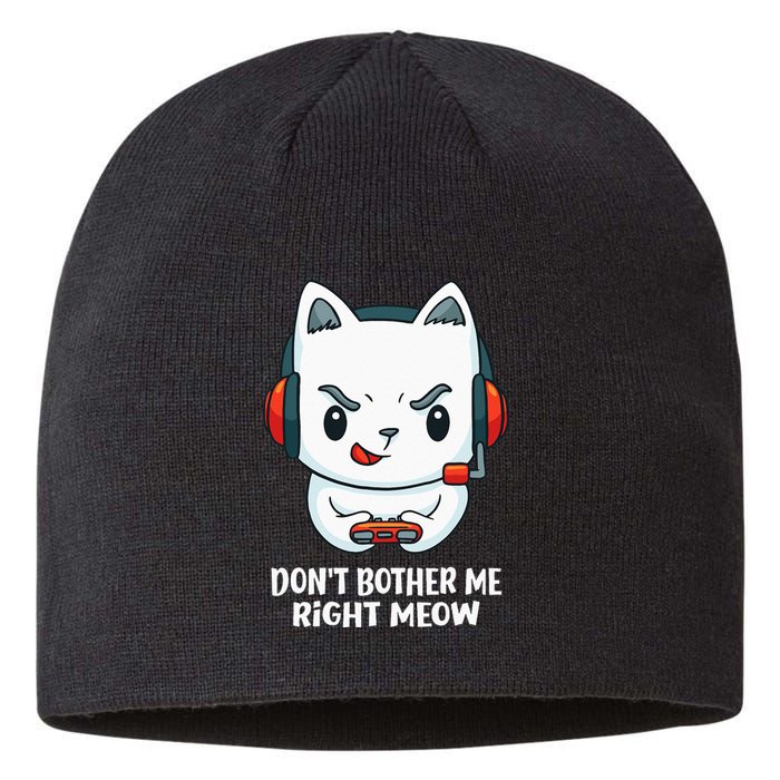 Funny Cat Video Gamer Dont Bother Me Right Meow Gits Sustainable Beanie