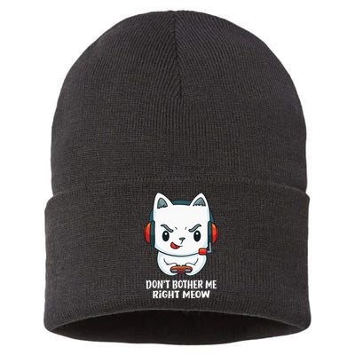 Funny Cat Video Gamer Dont Bother Me Right Meow Gits Sustainable Knit Beanie