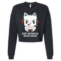 Funny Cat Video Gamer Dont Bother Me Right Meow Gits Cropped Pullover Crew