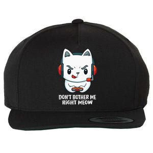 Funny Cat Video Gamer Dont Bother Me Right Meow Gits Wool Snapback Cap