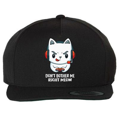 Funny Cat Video Gamer Dont Bother Me Right Meow Gits Wool Snapback Cap