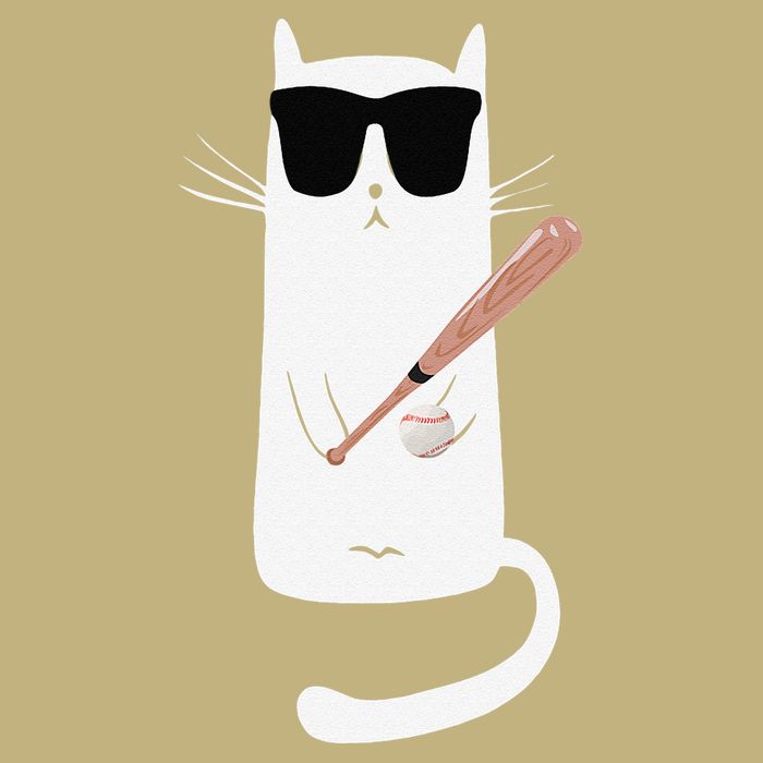 Funny Cat Wearing Sunglasses Playing Baseball Hoodie
