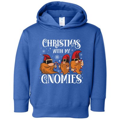 Funny Christmas With My Gnomies Gift Toddler Hoodie