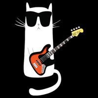 Funny Cat Wearing Sunglasses Playing Bass Guitar Tall T-Shirt