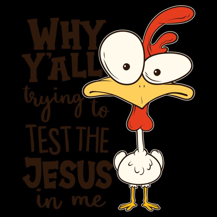 Funny Chicken Why Y'all Trying To Test The Jesus In Me 16oz Travel Tumbler