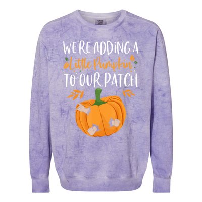 Funny Cute Whatever Spices Your Pumpkin Autumn Halloween Thanksgiving Colorblast Crewneck Sweatshirt