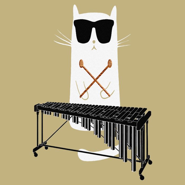 Funny Cat Wearing Sunglasses Playing Marimba Button