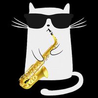 Funny Cat Wearing Sunglasses Playing Saxophone Gift Sweatshirt