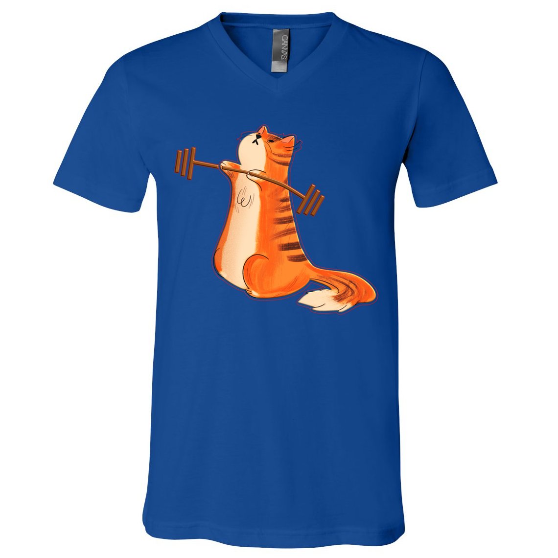 Funny Cat Weight Lifting Gift Gym Fitness Cat Lover Gift Funny Gift V-Neck T-Shirt