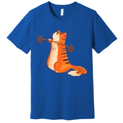 Funny Cat Weight Lifting Gift Gym Fitness Cat Lover Gift Funny Gift Premium T-Shirt