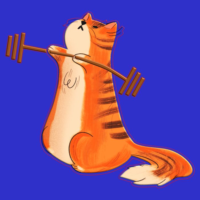 Funny Cat Weight Lifting Gift Gym Fitness Cat Lover Gift Funny Gift Womens Tank Top
