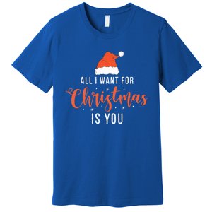 Funny Christmas Xmas Gift Idea Premium T-Shirt