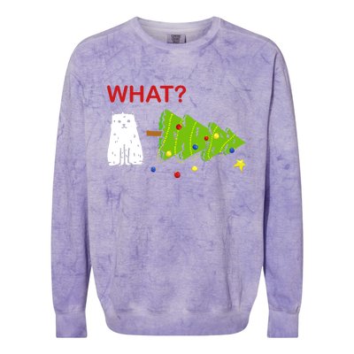 Funny Christmas XMas Cat What? Colorblast Crewneck Sweatshirt