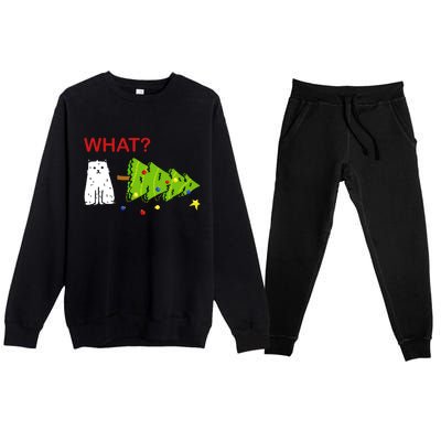 Funny Christmas XMas Cat What? Premium Crewneck Sweatsuit Set