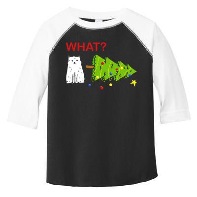 Funny Christmas XMas Cat What? Toddler Fine Jersey T-Shirt
