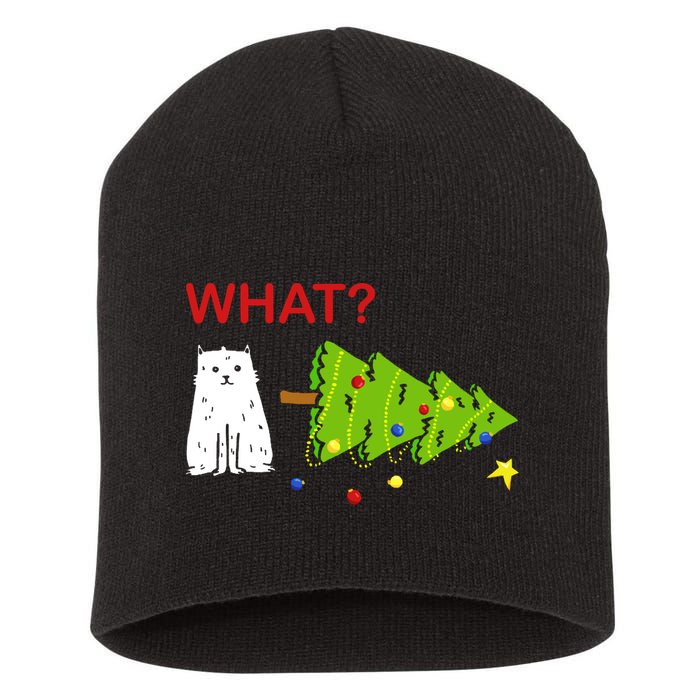 Funny Christmas XMas Cat What? Short Acrylic Beanie