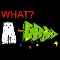 Funny Christmas XMas Cat What? Wool Snapback Cap