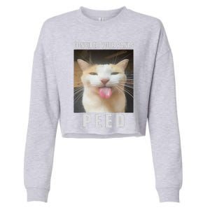 Funny Consider Your Pants Peed Silly Cat Meme Cropped Pullover Crew