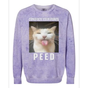 Funny Consider Your Pants Peed Silly Cat Meme Colorblast Crewneck Sweatshirt