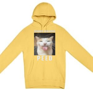 Funny Consider Your Pants Peed Silly Cat Meme Premium Pullover Hoodie